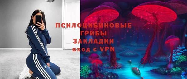 стафф Алексин