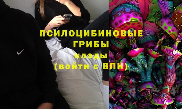 стафф Алексин