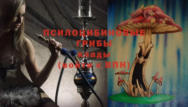 PSILOCYBIN Абинск
