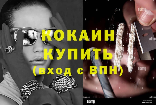 твердый Алзамай