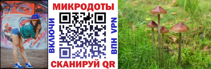 Галлюциногенные грибы GOLDEN TEACHER  Злынка 