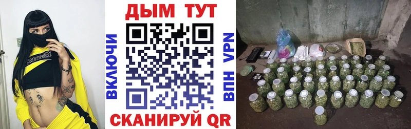 Бошки марихуана LSD WEED  наркотики  Злынка 